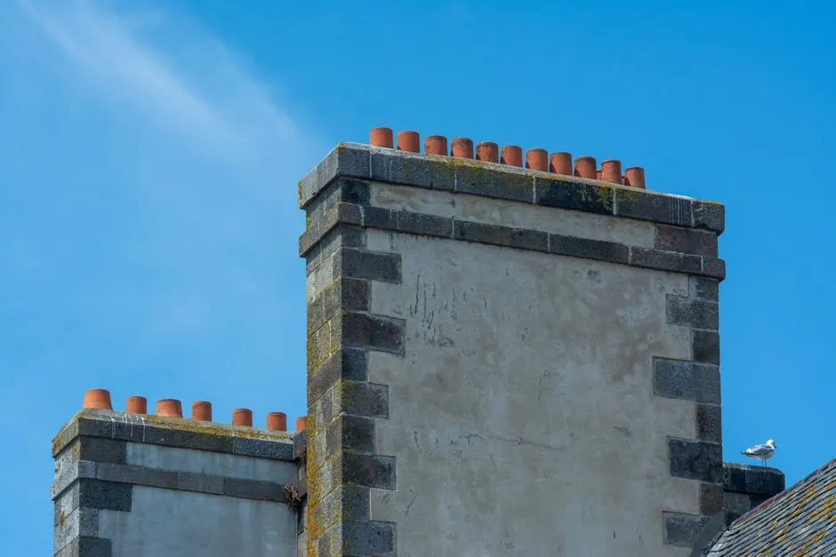 Chimneys with seagull against a clear blue sky in Saint-Malo, France.